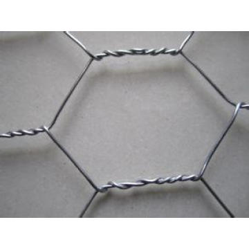 Galvanizado Hexagonal Wire Mesh / PVC Coated Hexagonal Wire Mesh